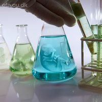 Kernen-aktivitets-og-kulturhus-café-kultur--foredrag-viden