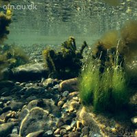 Kernen-aktivitets-og-kulturhus-café-kultur--foredrag-viden